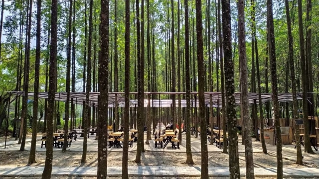 wisata karawang hutan kertas